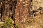 Ancient petroglyphs seen at Parowan Gap. Art Print